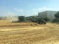 Getreideernte | Getreide | Ansaat | Weilerswist-Schwarzmaar | Euskirchen