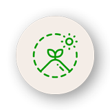 Pflanzenschutz | Weilerswist-Schwarzmaar | Euskirchen Pflanzenschutz | Weilerswist-Schwarzmaar | Euskirchen